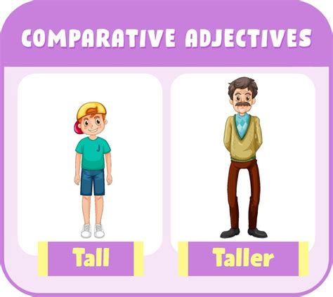 Comparative Adjectives For Word Tall 6242502 Vector Art At Vecteezy