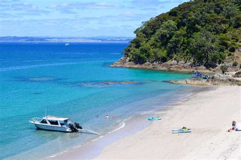 From Paihia Bay Of Islands Small Group Cruise And Island Tour Getyourguide