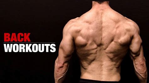 The Athlean X Back Workout The Ultimate Guide Revolutionary