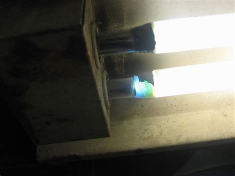 Cold Cathode Lighting Disposal Shelly Lighting