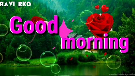 2019 good morning images whatsapp. Good morning video WhatsApp status watch best video love ...