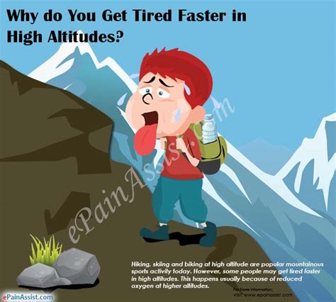 Why Do You Get Tired Faster In High Altitudes And How To Treat It