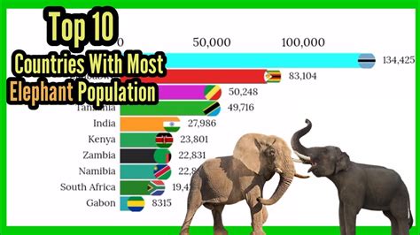 Elephant Top 10 Countries With Most Elephant Population 1980 2021