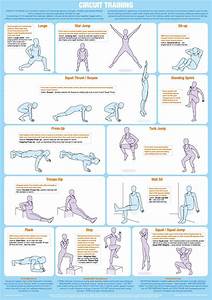 Lower Back Exercises Chart Sites Unimi It