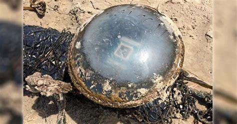 An Extremely Strange Object Was Found On A Beach In Australia And No