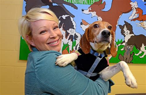 Our goai is the provide safe, ioving foster and adoptive homes for our beagies for. Former Research Beagles Now Up For Adoption | News and ...