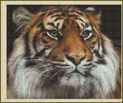 Bengal Tiger Counted Cross Stitch No Ebay
