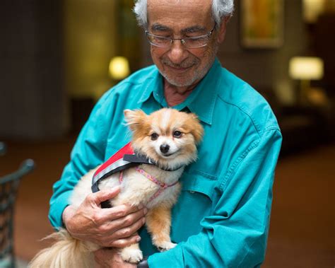 Commercial Animal Photography Man Holding Therapy Dog On Lap By Mark