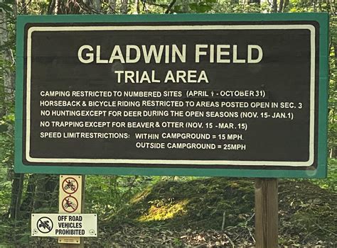 Check Out The Gladwin County Field Trial Area Upnorthvoice Com