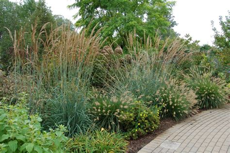 Landscaping Ideas Favorite Ornamental Grasses For Midwest Landscaping