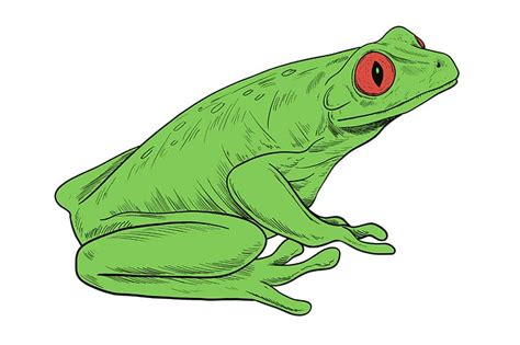 How To Draw A Frog Drawing Tutorial For Artists Of Any Level