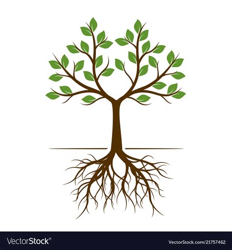 Color Shape Tree With Roots Royalty Free Vector Image