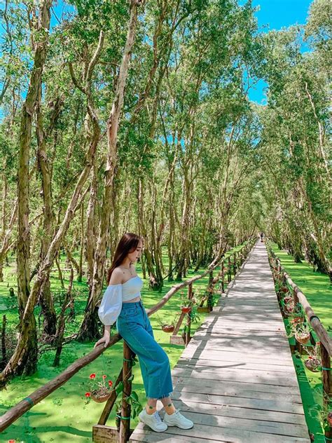 Trong suốt dọc chuyến đi bạn sẽ thấy các loài chim. Rừng Tràm Trà Sư - Hướng dẫn du lịch Rừng Tràm Trà Sư An Giang