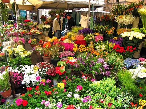 The last week, italy has experienced some extraordinary weather. Flower market in Orvieto Italy | Orvieto, Flower market, Italy