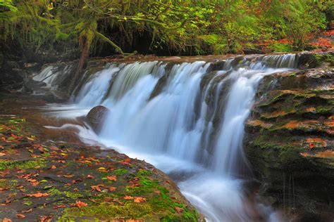 Sweet Creek Falls Is One Of Oregons Most Stunning Coast Hikes That