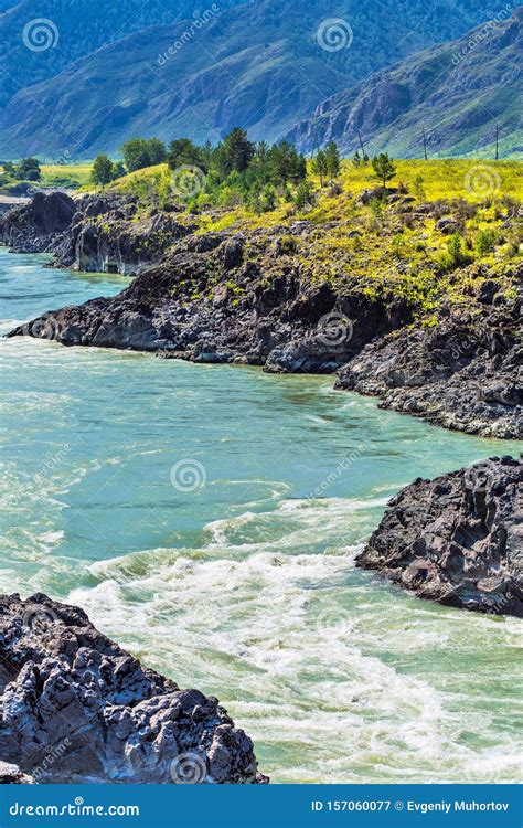 Katun River With Rapids Gorny Altai Siberia Russia Stock Image