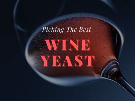 complete guide to wine yeast