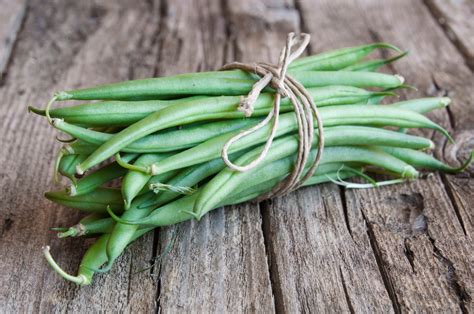 Now Is The Perfect Time To Sow French Climbing And Runner Beans
