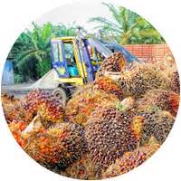 Com.10 ppb oil palms berhad. Products & Brands - CAM RESOURCES BERHAD