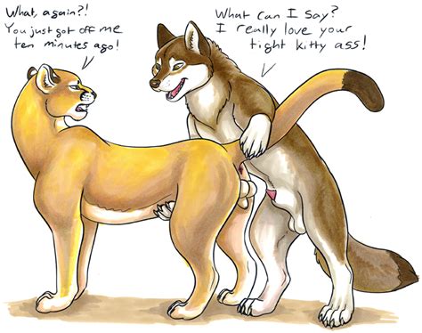 Rule 34 Animal Genitalia Anus Balls Canine Conditional Dnp Cougar Duo