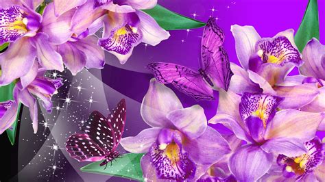 72 Purple Orchid Wallpaper Wallpapersafari