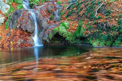 Beautiful Autumn Foliage And Mountain Stream In The Forest Stock Image