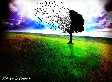 The Magic Tree Of Life By Liveranimarco On Deviantart