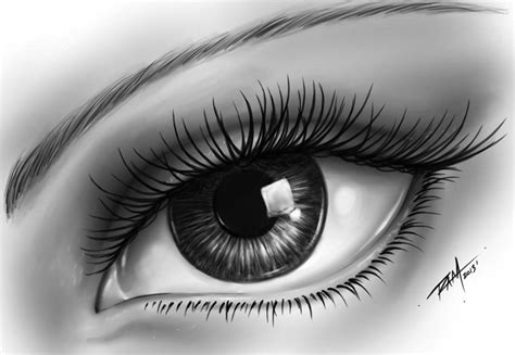 Beautiful And Realistic Pencil Drawings Of Eyes Human Eye Drawing Eye Drawing Realistic
