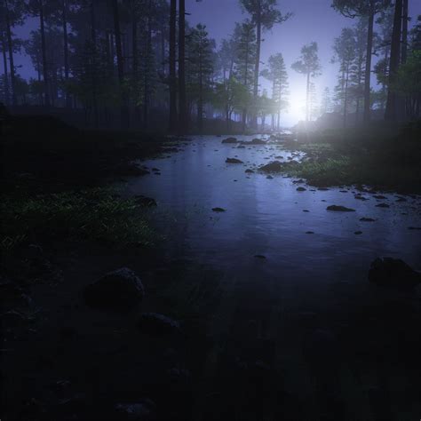 Water Stream Night Forest 4k Ipad Air Wallpapers Free Download