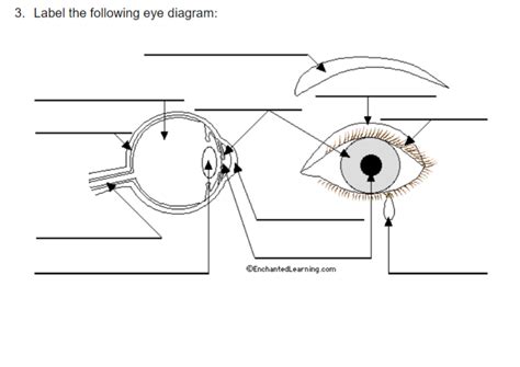 32 Eye Diagram To Label Labels 2021