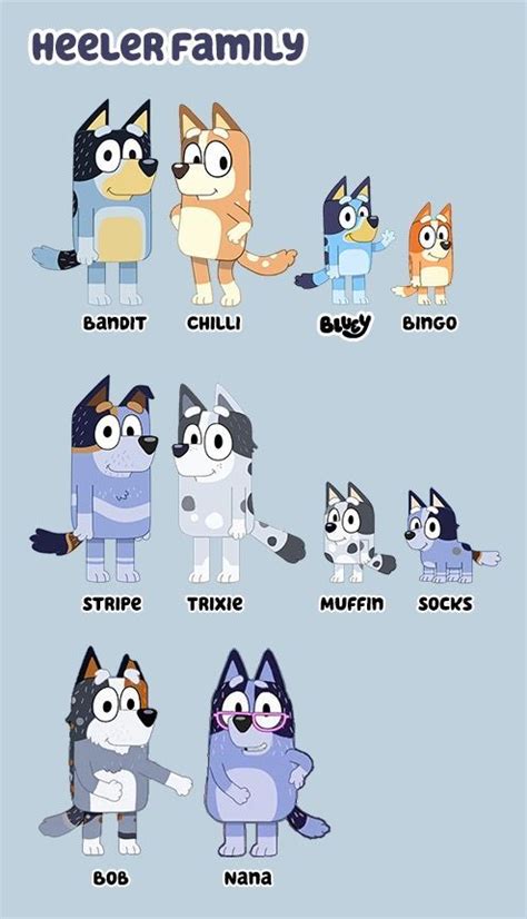 Finally A Definitive List Of All Bluey Characters Mum Strife In