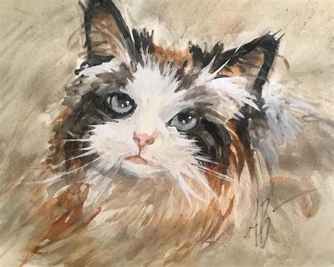 Ragdoll Cat By Annette Balesteri
