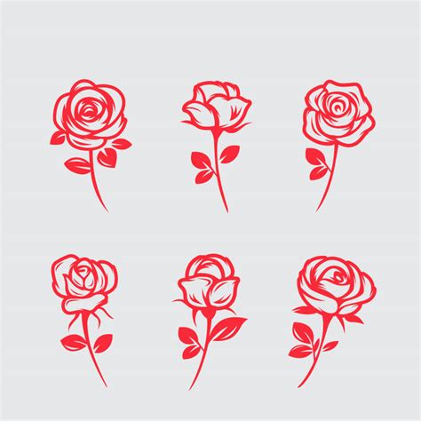 Hand Drawing Vintage Rose Graphic Collection Ai