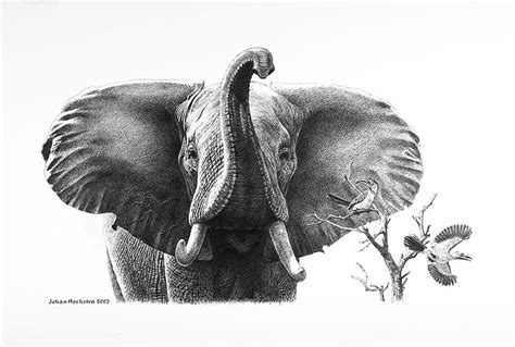 African Wildlife Elephant Wildlife Art