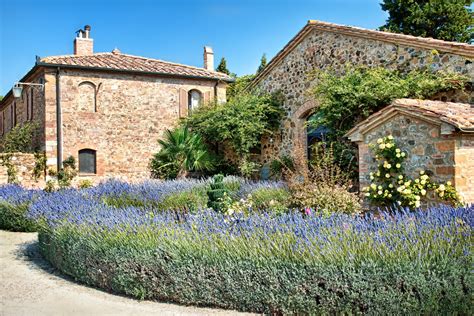 Types Of Plants For A Tuscan Garden With Pictures Ehow