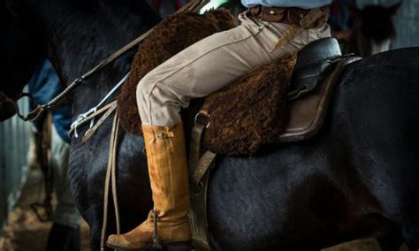 Horseback Riding Injuries Personal Injury Attorneys Injury Lawyers