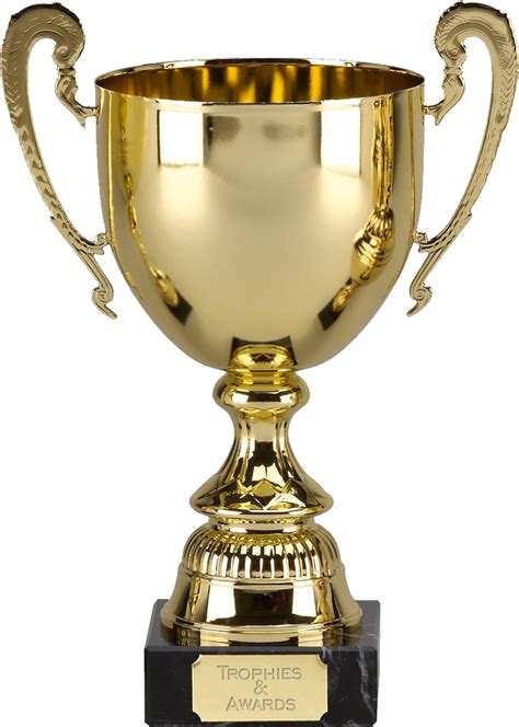 Golden Cup Png Transparent Image Download Size 767x1075px