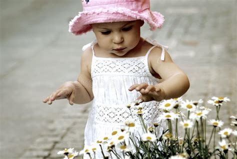 Child Picking Flowers Stock Image Image Of Toddler Small 13443413