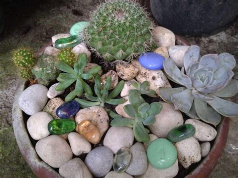 Diy Mini Succulent Garden Bunkbedreviews