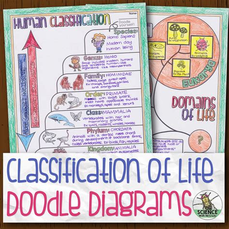 Classification Of Life Doodle Diagram Notes Store Science And Math