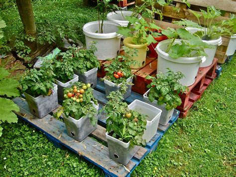 Unusual Container Gardens Container Gardening Organicgardeningathome