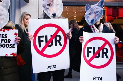 PETA Claims Victory Ends Year Ad Campaign Against Fur