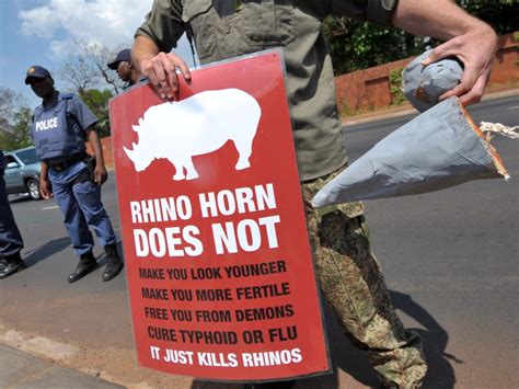 Record Rhino Poaching In South Africa Wwf