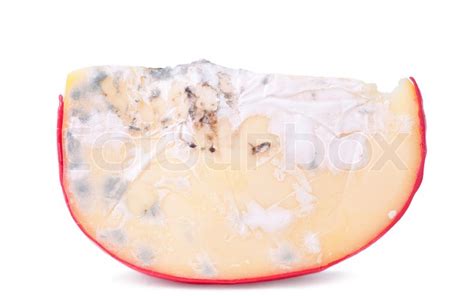 Bacteria easily spreads through soft, unaged cheeses like cottage cheese and fromage blanc, ricotta, and fresh mozzarella and goat cheeses. Moldy gouda cheese | Stock image | Colourbox