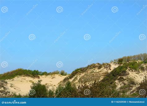 Paesaggio Della Duna Di Sabbia Con Vegetazione Fotografia Stock
