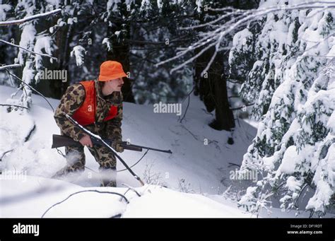 Man Hunting Deer Hi Res Stock Photography And Images Alamy