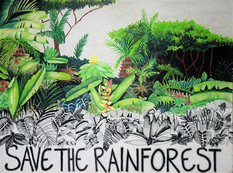 Rainforest Drawing At Explore Collection Of