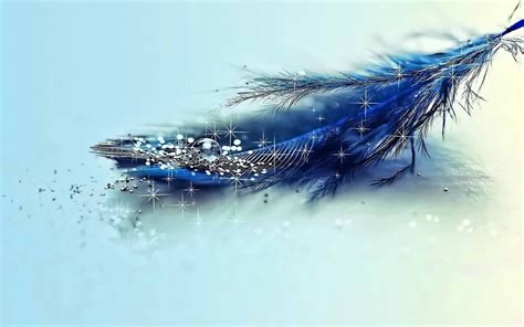 Wallpaper with Feathers - WallpaperSafari