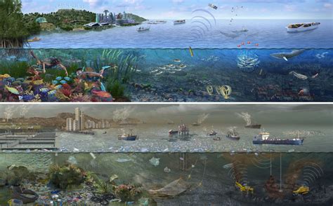 The Future Of Our Oceans Portfolio Sayostudio