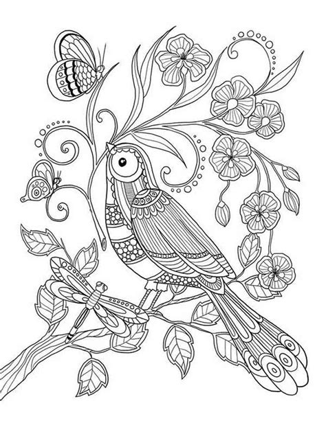 Zentangle Coloring Pages Adult Birds Coloring Pages Sexiz Pix